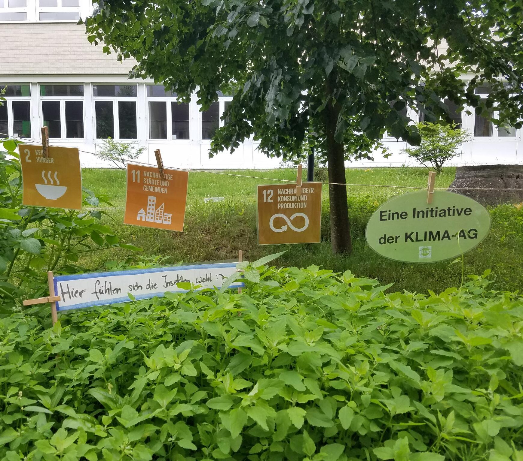 Die Klima-AG lädt ein und stellt sich vor!